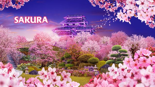 Sakura | Flower Dome