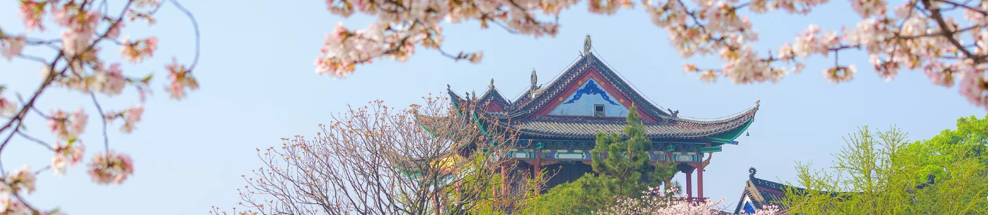 Family-Friendly Attractions