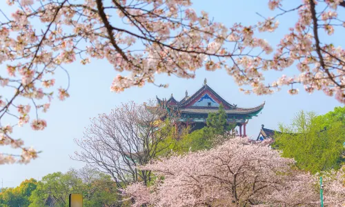 Qingchuan Pavilion Park