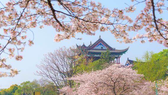 Qingchuan Pavilion