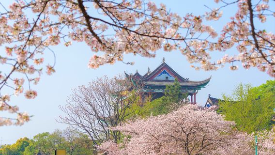 Qingchuan Pavilion Park