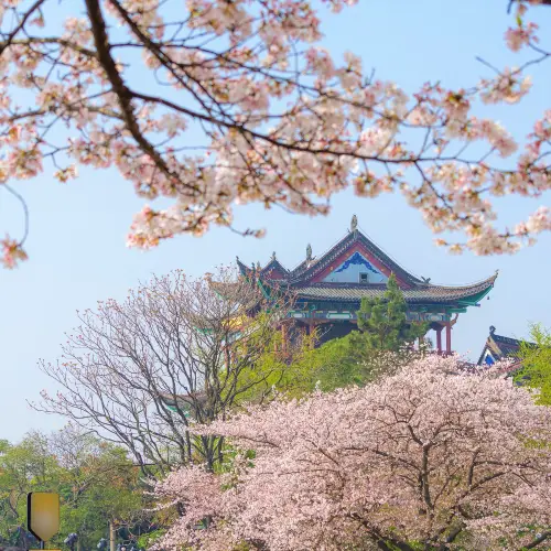 청천각