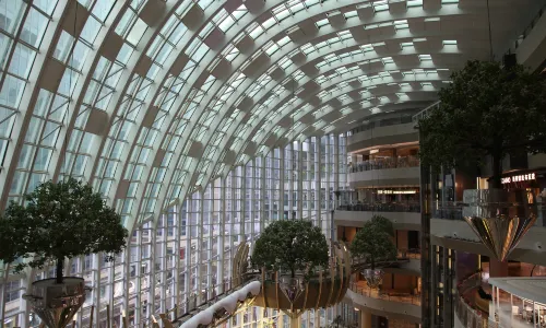 Muguang Forest at The Ring Shopping Park
