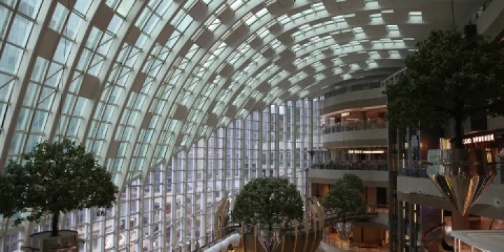 重慶光環購物公園室內植物園“沐光森林”