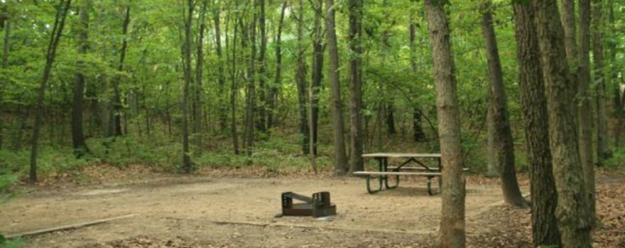 Dunewood Campground