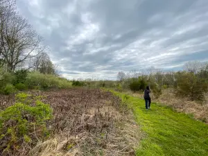 Skyview Preserve
