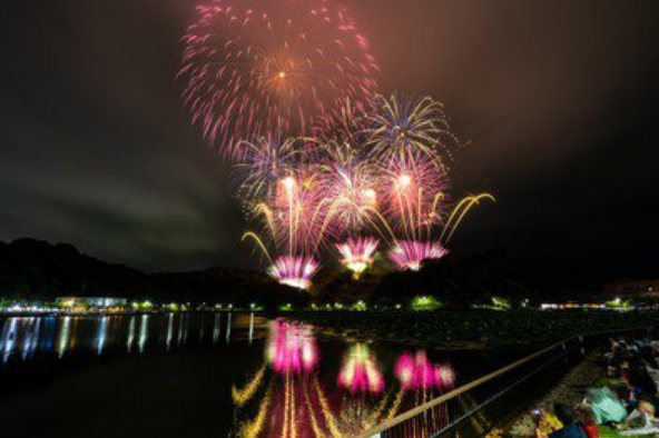 Fujieda Fireworks | 후지에다 시