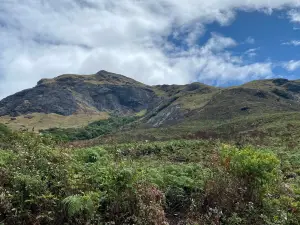 Eravikulam National Park