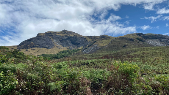 Eravikulam National Park