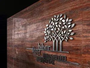 Bihar Museum
