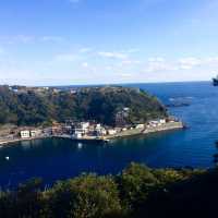ここも東京都"伊豆大島"﻿ ﻿