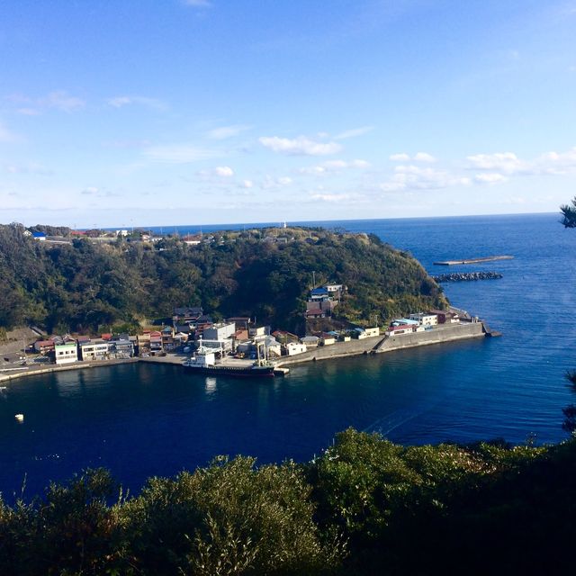 ここも東京都"伊豆大島"﻿ ﻿