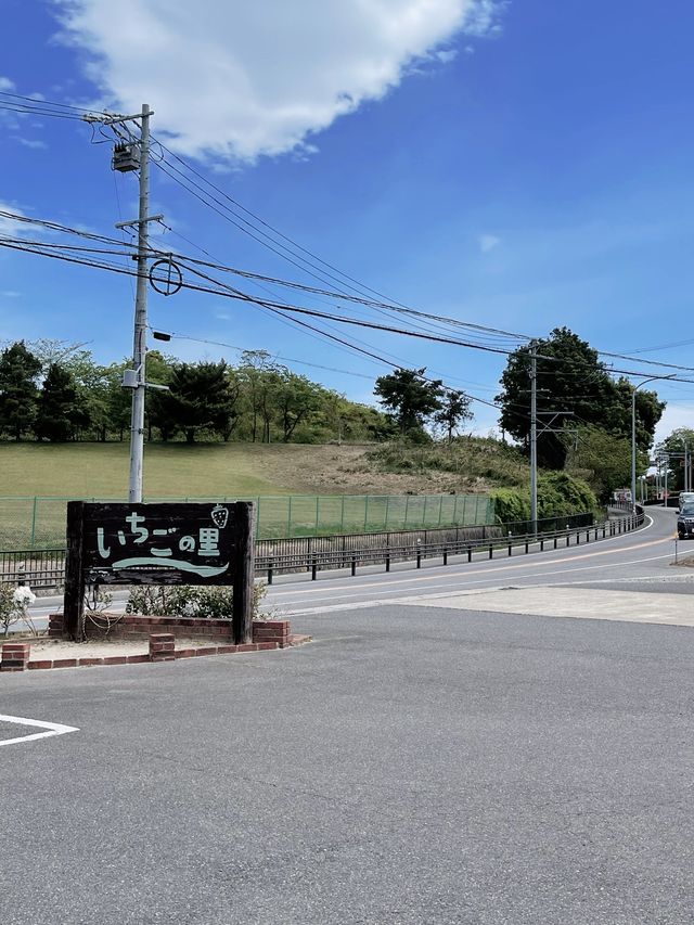 愛知県　知多でイチゴ狩り