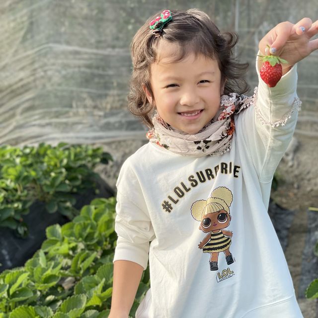 #親子游#快閃去咗朗屏士多啤梨葡萄園摘漿果