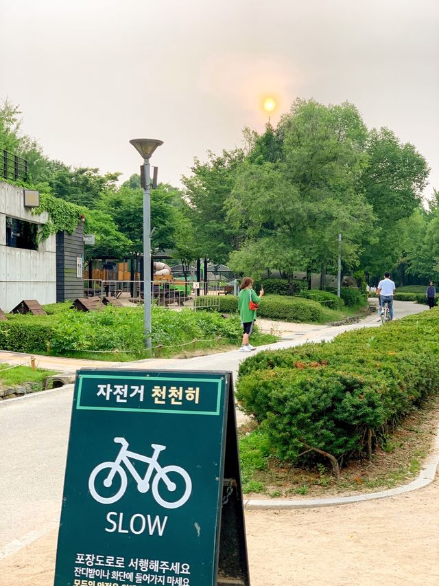 [서울 도심 속 힐링스팟, 서울숲]