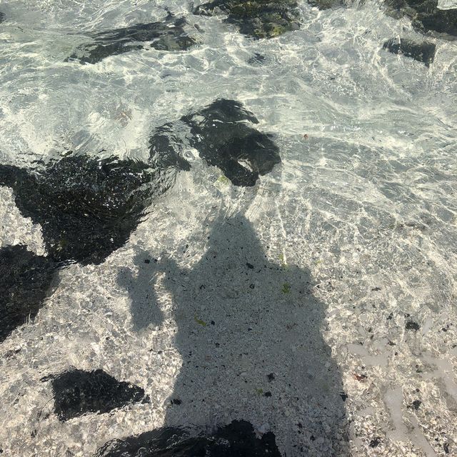 보기만해도 시원해지는 산호해변
