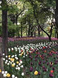 [서울숲] 서울숲 나들이