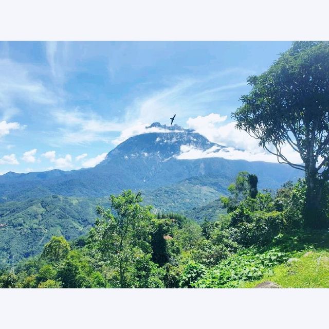 Pekan Nabalu