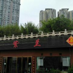 君紫兰 User Photo