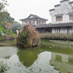 荻港漁莊張用戶圖片