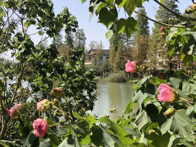 Taohuayuan (“Peach Blossom Land”)