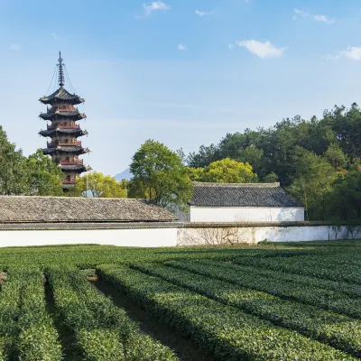 Hotels in Songyang With Wi-Fi
