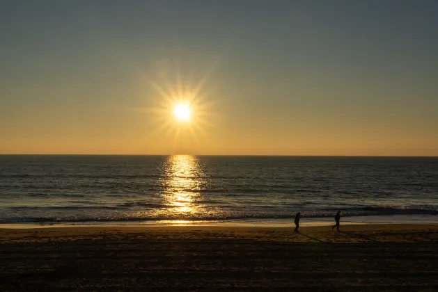 Разрешено размещения с домашними животными Отели в г. Тринкомали