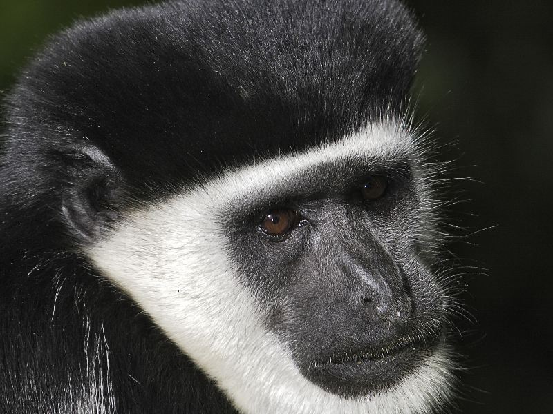 泉州海シ野生動物ワールド