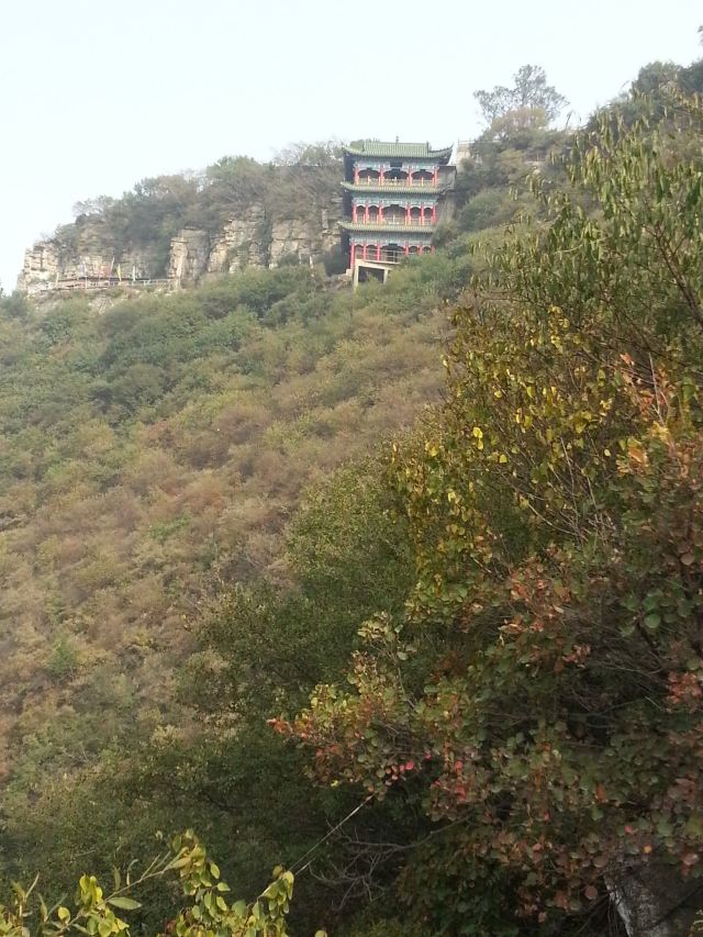 션농샨