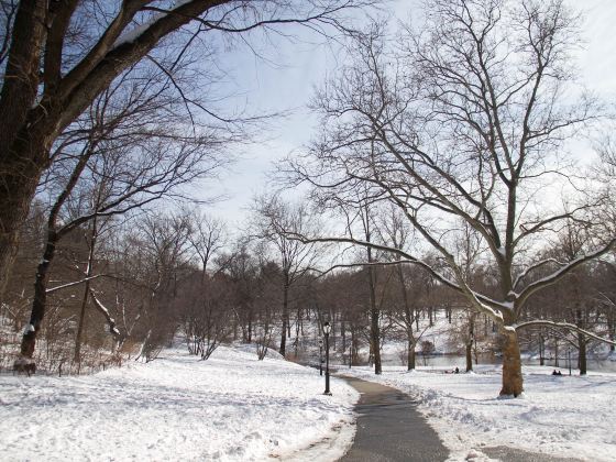 Mont Royal