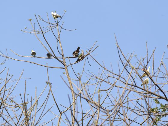 난산 공원