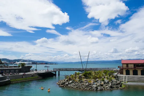 Air New Zealand to Wellington