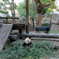 Best zoo so far