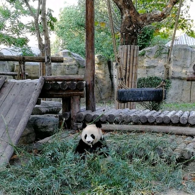 Best zoo so far