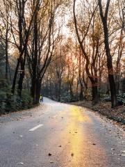 Moyun Hiking Trail