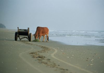 安朱納海