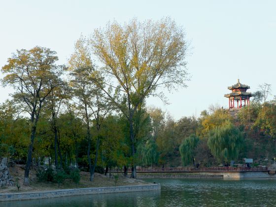 Yuxi Park