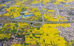 Rape Flower Field, Yangxian County