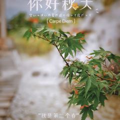 婺源鑫邦大酒店(婺女洲店)·品轩中餐厅 User Photo