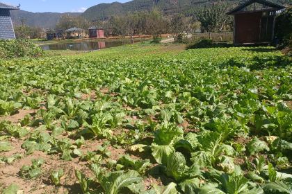 盐源县田园休闲农庄