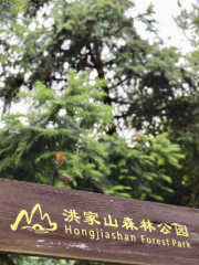 Хун Цзяшань лесной парк