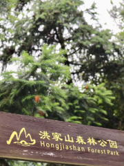 Hongjia Mountain Provincial Forest Park