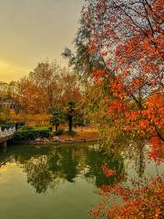 봉황산 공원