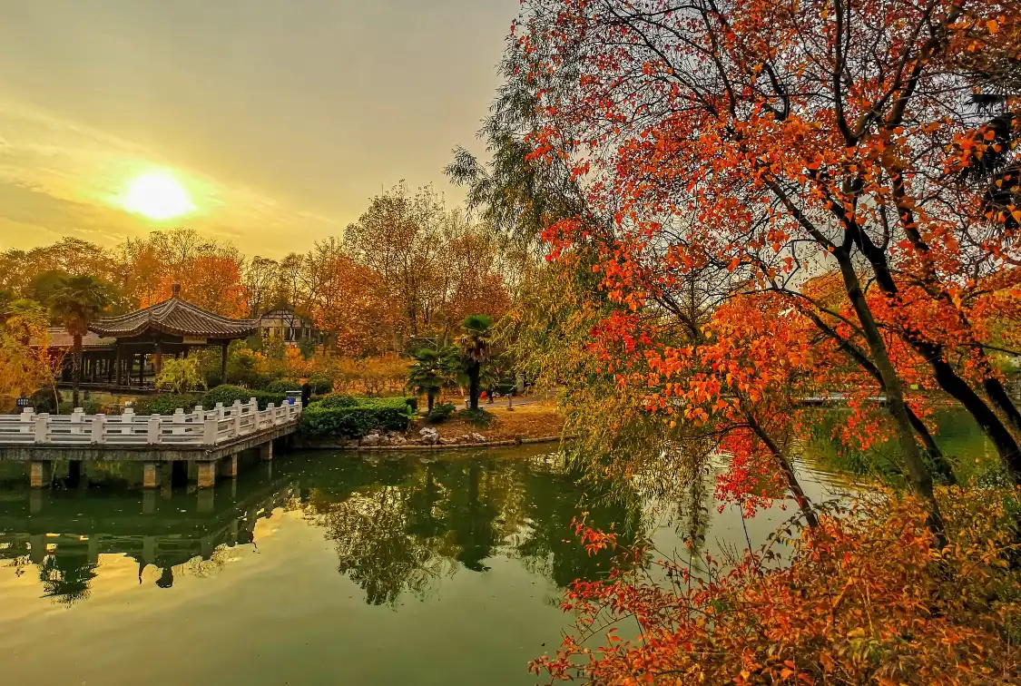 봉황산 공원 주변 호텔