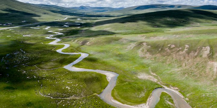 Yushu Grassland