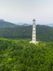 Bingwei Tower