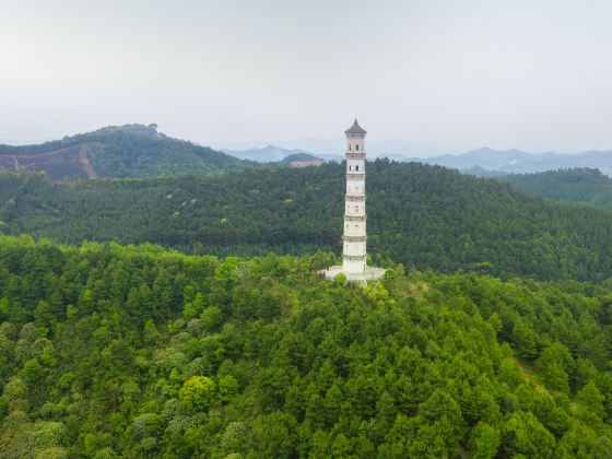 Bingwei Tower