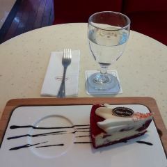 hāagendazs 여행 사진