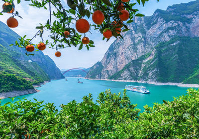 Xingao Lake Cruise (Roll-on/Roll-off Ship Pier)