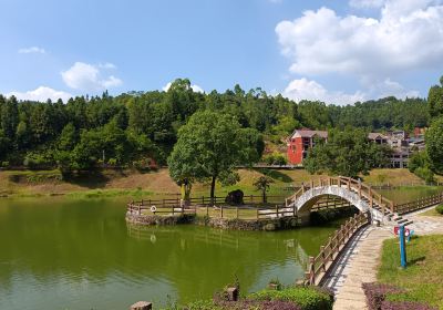 더화 당자이산 삼림 공원